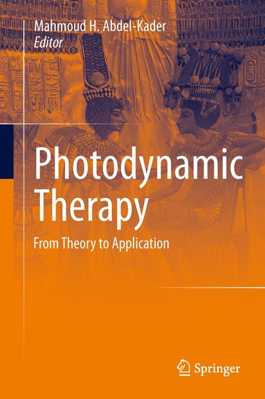 bokomslag Photodynamic Therapy