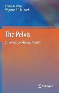bokomslag The Pelvis