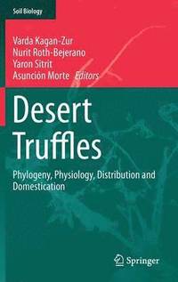 bokomslag Desert Truffles