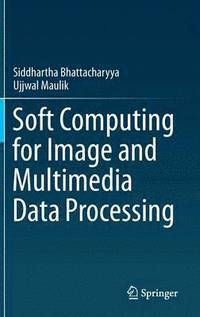 bokomslag Soft Computing for Image and Multimedia Data Processing