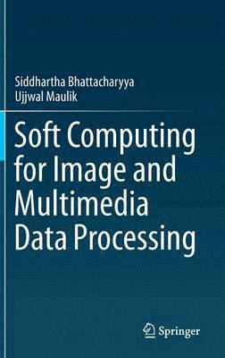 Soft Computing for Image and Multimedia Data Processing 1