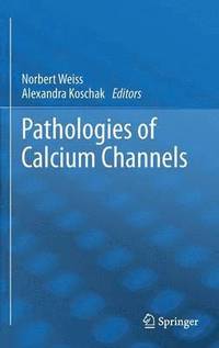 bokomslag Pathologies of Calcium Channels