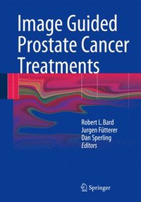bokomslag Image Guided Prostate Cancer Treatments