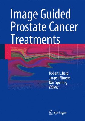 bokomslag Image Guided Prostate Cancer Treatments