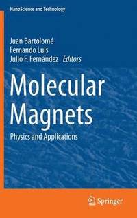 bokomslag Molecular Magnets