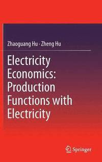 bokomslag Electricity Economics: Production Functions with Electricity