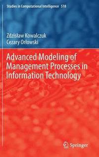 bokomslag Advanced Modeling of Management Processes in Information Technology