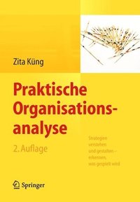 bokomslag Praktische Organisationsanalyse