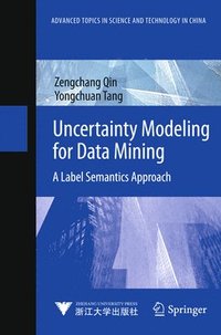 bokomslag Uncertainty Modeling for Data Mining