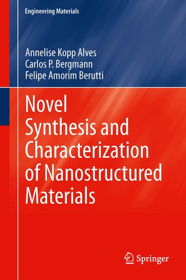 Annelise Kopp Alves, Carlos P. Bergmann, Felipe Amorim Berutti - Novel Synthesis and Characterization of Nanostructured Materials, Inbunden