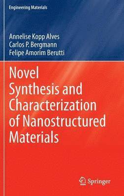 Annelise Kopp Alves, Carlos P. Bergmann, Felipe Amorim Berutti - Novel Synthesis and Characterization of Nanostructured Materials, Inbunden
