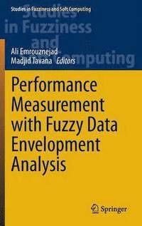 bokomslag Performance Measurement with Fuzzy Data Envelopment Analysis