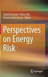 bokomslag Perspectives on Energy Risk