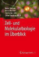 bokomslag Zell- Und Molekularbiologie Im Uberblick