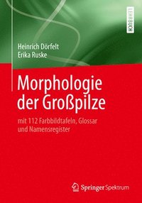 bokomslag Morphologie der Gropilze