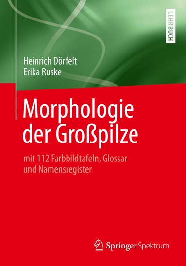bokomslag Morphologie der Großpilze