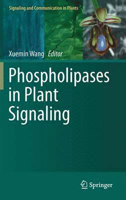 Phospholipases in Plant Signaling