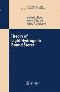 bokomslag Theory of Light Hydrogenic Bound States