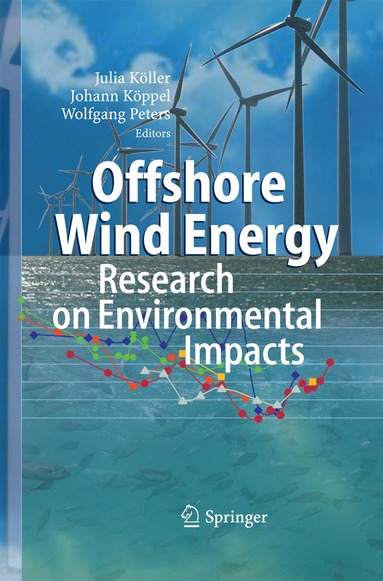 bokomslag Offshore Wind Energy