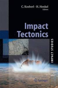 bokomslag Impact Tectonics