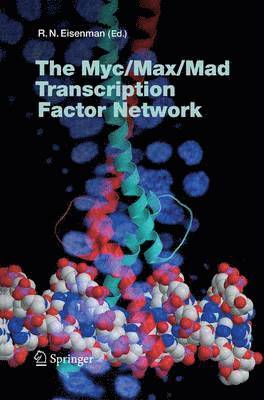 The Myc/Max/Mad Transcription Factor Network 1