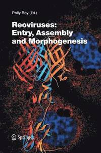 bokomslag Reoviruses: Entry, Assembly and Morphogenesis