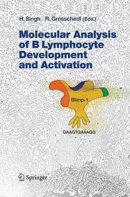 Harinder Singh, Rudolf Grosschedl - Molecular Analysis of B Lymphocyte Development and Activation, Häftad