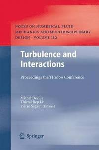 bokomslag Turbulence and Interactions