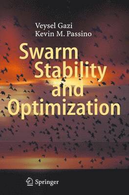 bokomslag Swarm Stability and Optimization