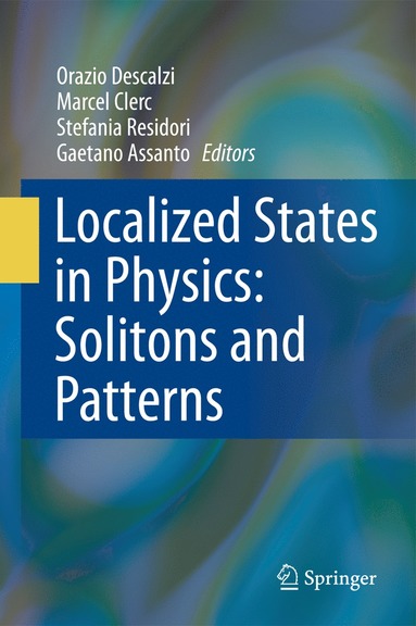 bokomslag Localized States in Physics: Solitons and Patterns