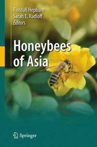 bokomslag Honeybees of Asia