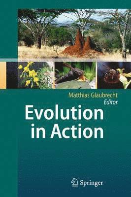 Evolution in Action 1