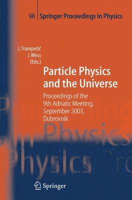 Particle Physics and the Universe 1
