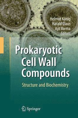 bokomslag Prokaryotic Cell Wall Compounds