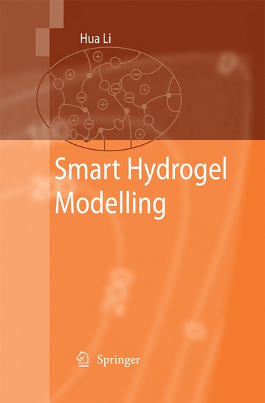 bokomslag Smart Hydrogel Modelling