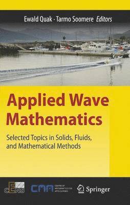 bokomslag Applied Wave Mathematics