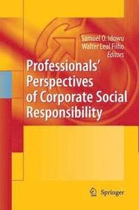 bokomslag Professionals Perspectives of Corporate Social Responsibility