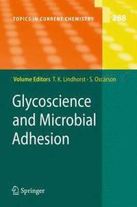bokomslag Glycoscience and Microbial Adhesion