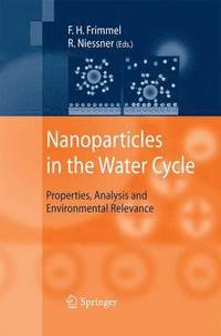 bokomslag Nanoparticles in the Water Cycle
