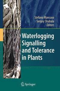 bokomslag Waterlogging Signalling and Tolerance in Plants