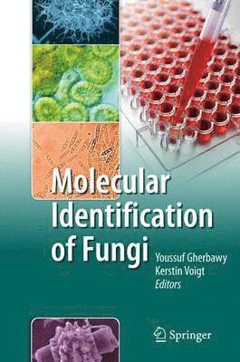 bokomslag Molecular Identification of Fungi