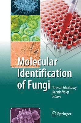 Molecular Identification of Fungi 1