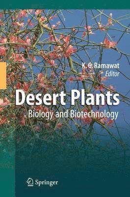 Desert Plants 1