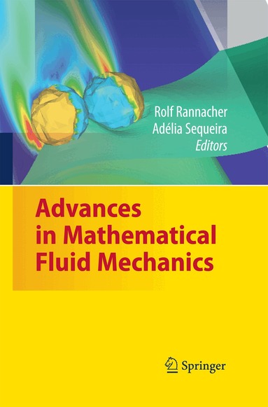 Rolf Rannacher, Adélia Sequeira - Advances in Mathematical Fluid Mechanics, Häftad