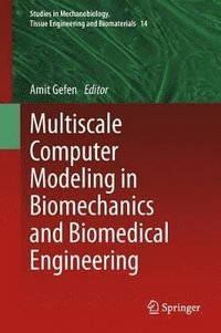 bokomslag Multiscale Computer Modeling in Biomechanics and Biomedical Engineering