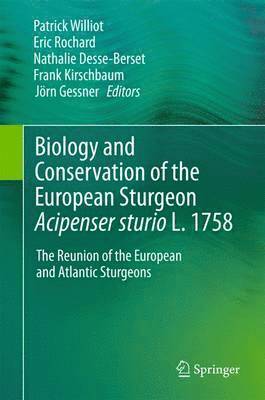 bokomslag Biology and Conservation of the European Sturgeon Acipenser sturio L. 1758