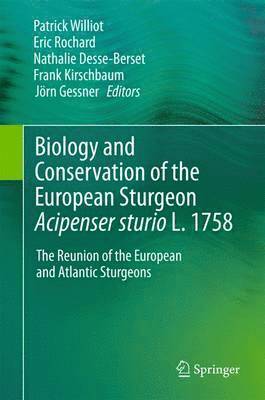 Patrick WILLIOT, Eric Rochard, Nathalie Desse-Berset, Frank Kirschbaum, Jörn Gessner, Jorn Gessner, Patrick Williot - Biology and Conservation of the European Sturgeon Acipenser sturio L. 1758, Häftad