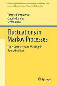 bokomslag Fluctuations in Markov Processes