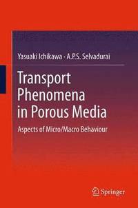 bokomslag Transport Phenomena in Porous Media