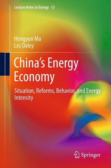 bokomslag China's Energy Economy